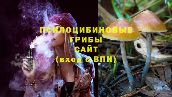 а пвп мука Бородино