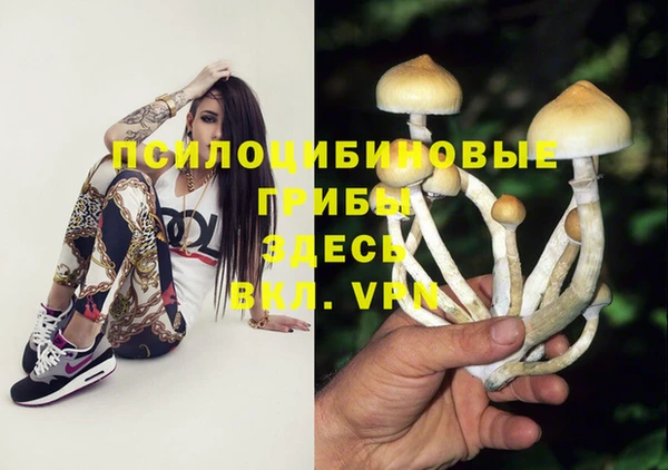 а пвп мука Бородино